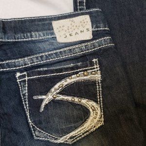 Silver Jeans Aiko Skinny